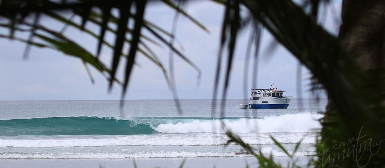 mentawai islands surf charter