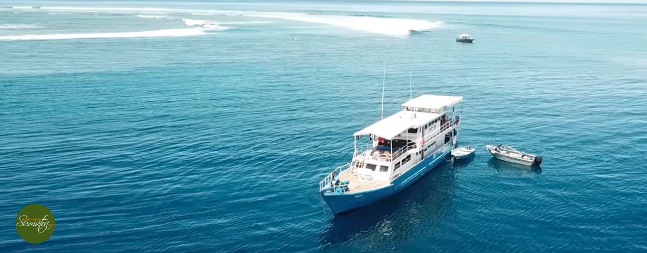 surf charter mentawai islands