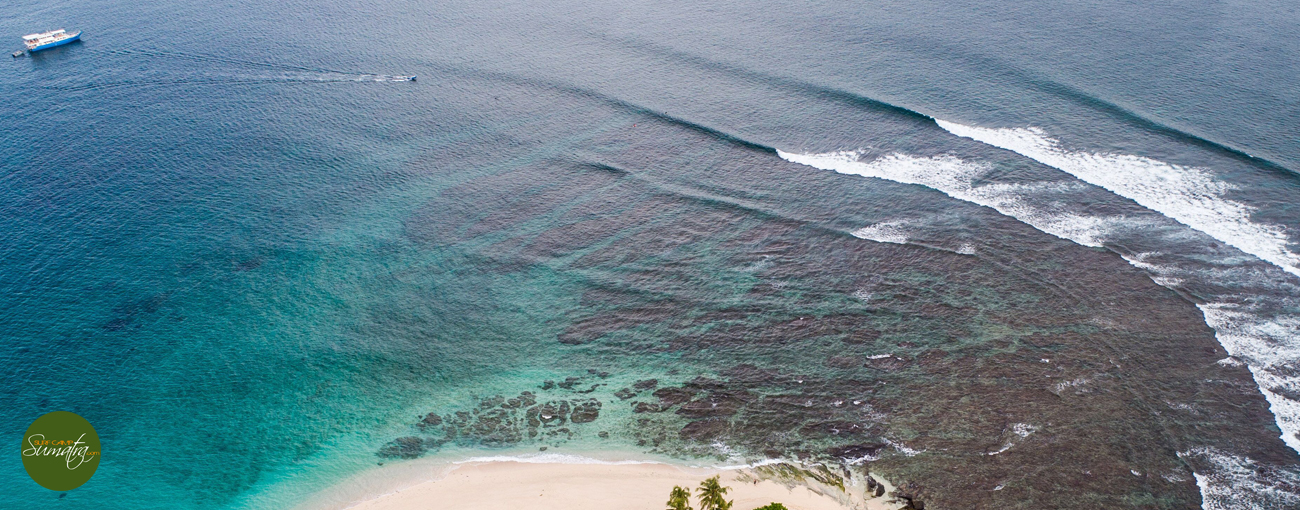 surf charter telos