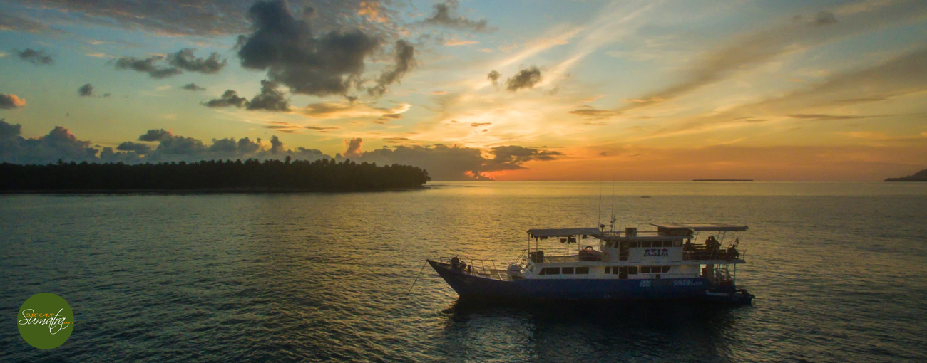 telo surf charter boat