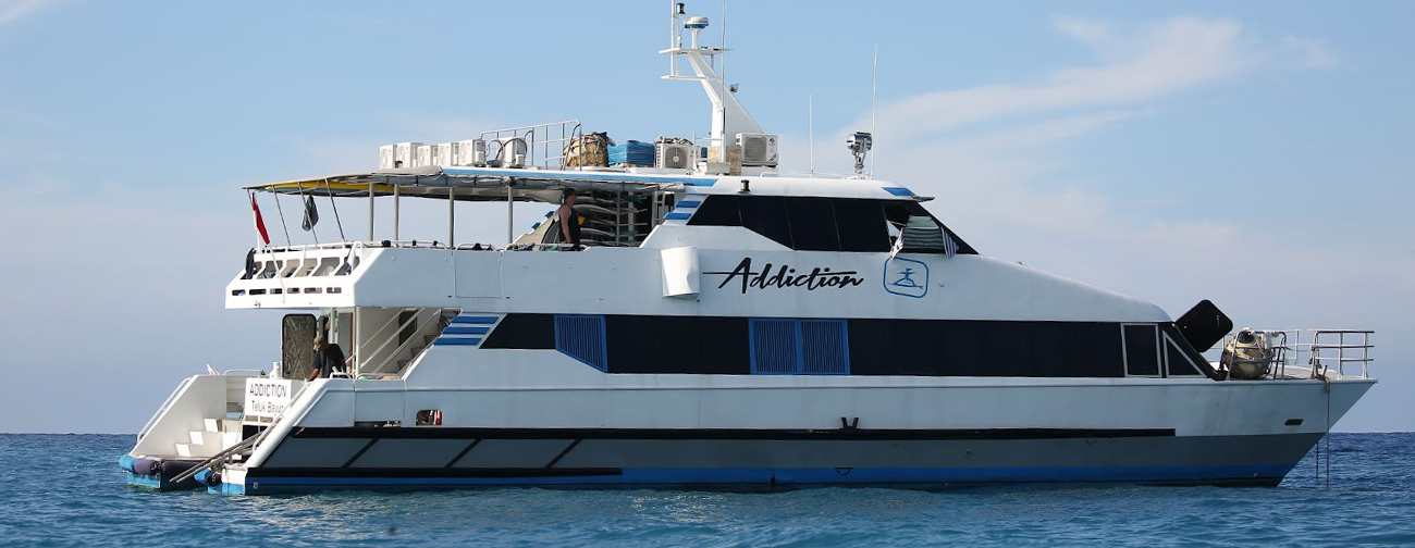 addiction surf charter boat