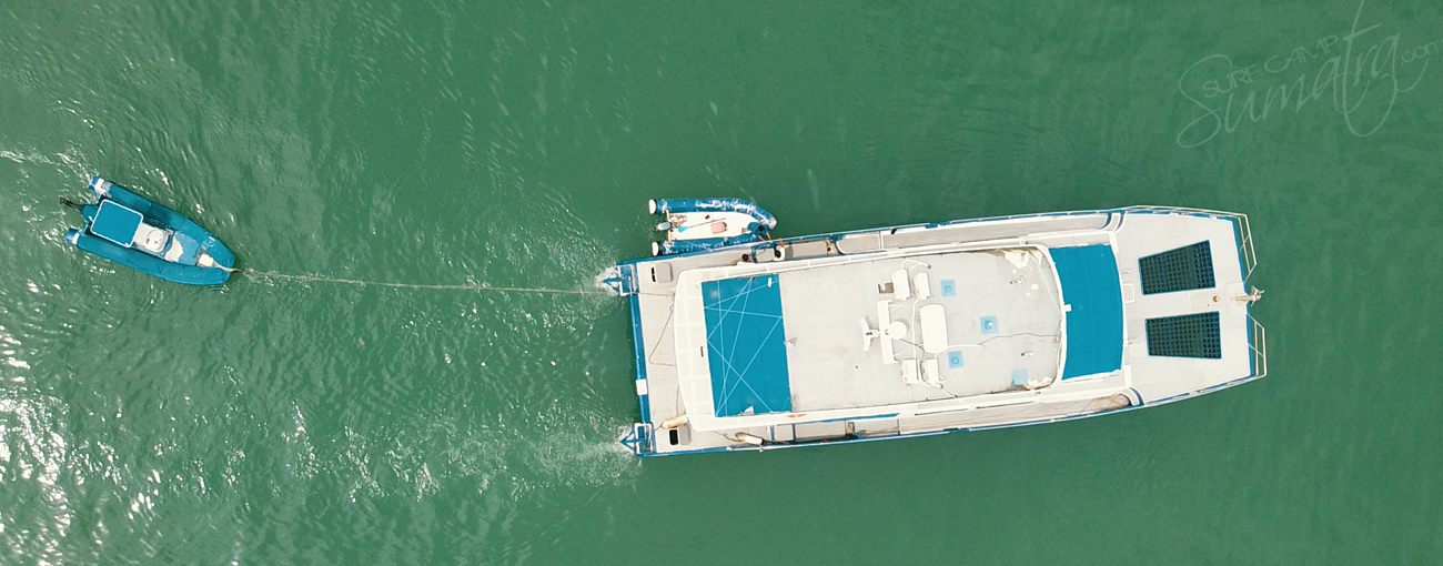 wild cat surf charters