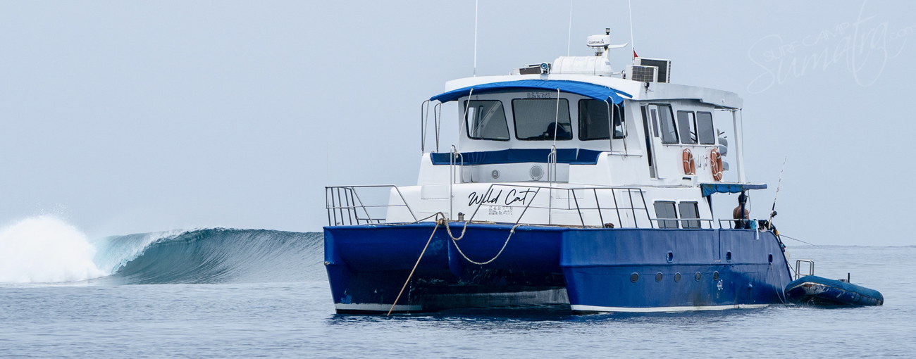 wild cat charter boat