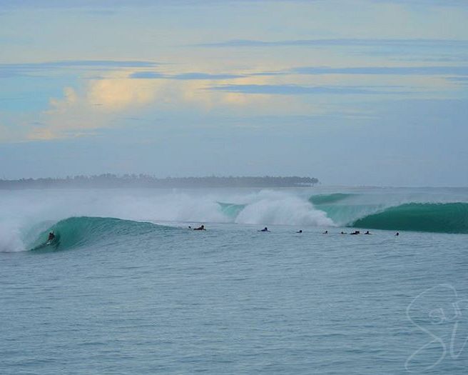 Macas Mentawai Islands