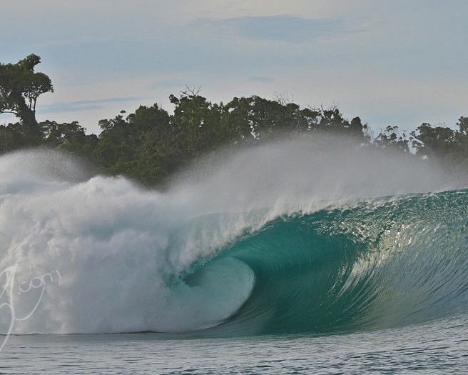 Big Bush Mentawai Islands