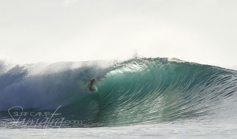 Dogs Reef surf break Sumatra