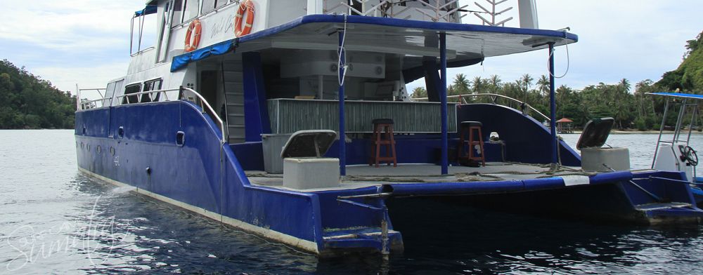 Lower back deck, bar and board rack area