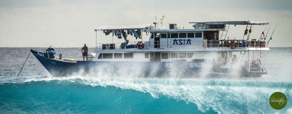 Mentawai Telo & Beyond