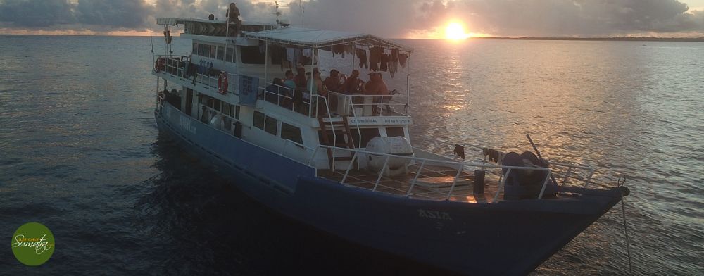 Cruising Speed 8-9 knots