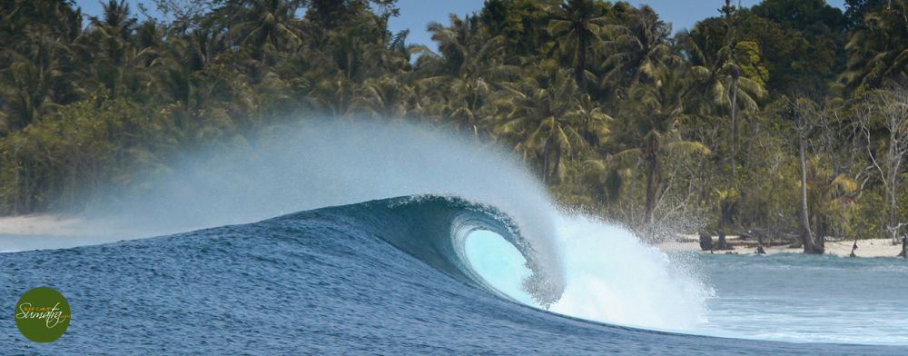 11 nights and 10 days surfing for each trip