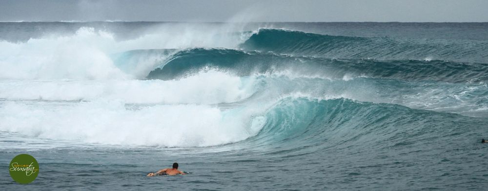 Both Mentawai & Telo trips available