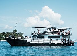 Wave Hunter Charters