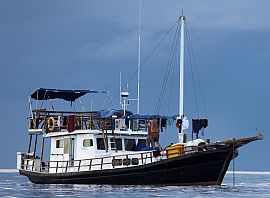 Kuda Laut Charters