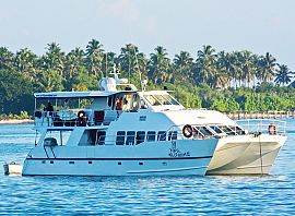 King Millenium 2 Charters
