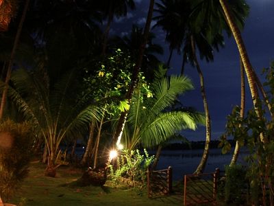 The grounds
