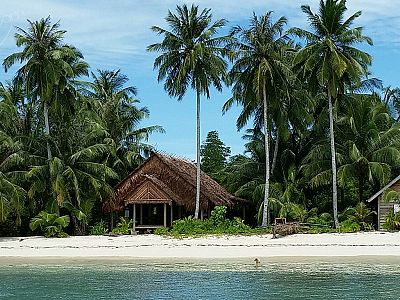 Ideal for swimming and snorkeling directly out the front