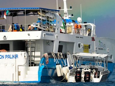 Moon Palikir surf charter