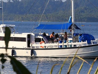 Nomad surf charter