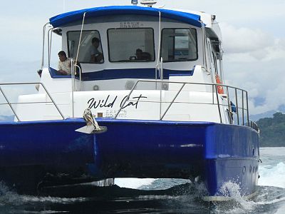 10-12 knots cruising speed