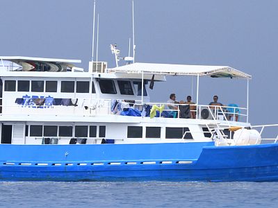 Up to 11 guests per trip