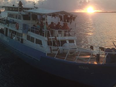 Cruising Speed 8-9 knots