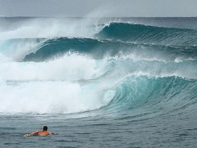 Both Mentawai & Telo trips available