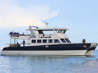 Pulse Charters