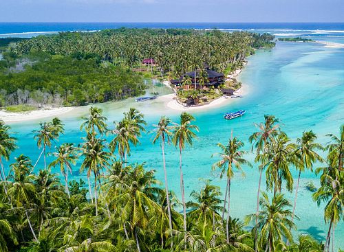 Macaronis Resort Surf Camp